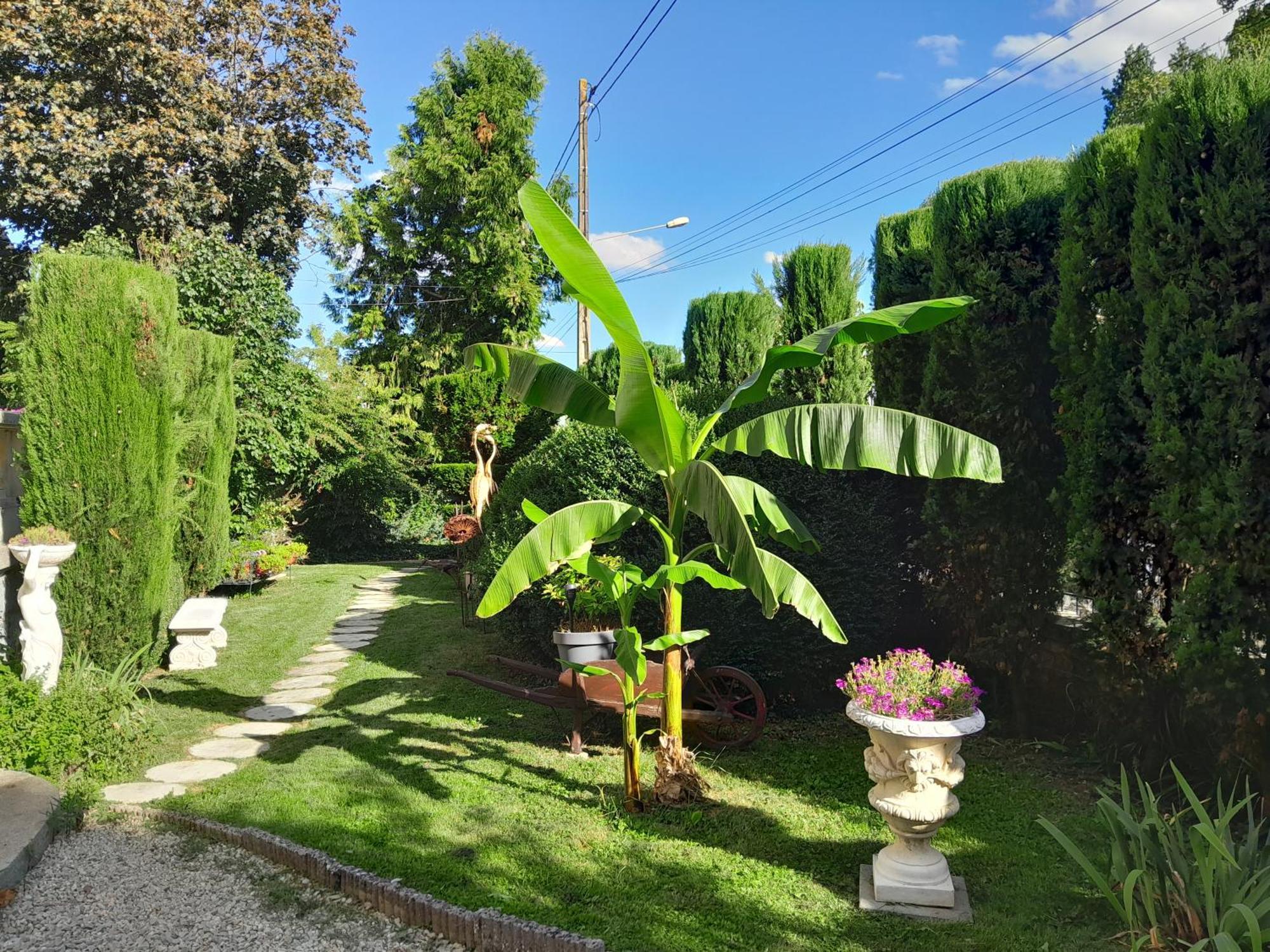 Le Madrigal Bed and Breakfast Mamers Eksteriør billede
